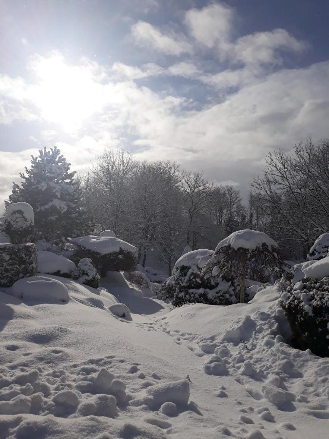 Resort Dworek Nad Rega Trzebiatow nad Rega